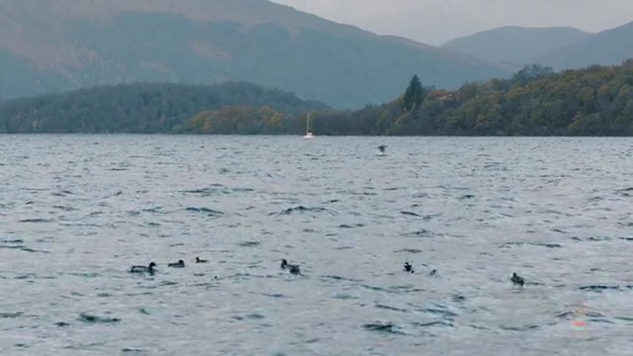 Still from Scotland